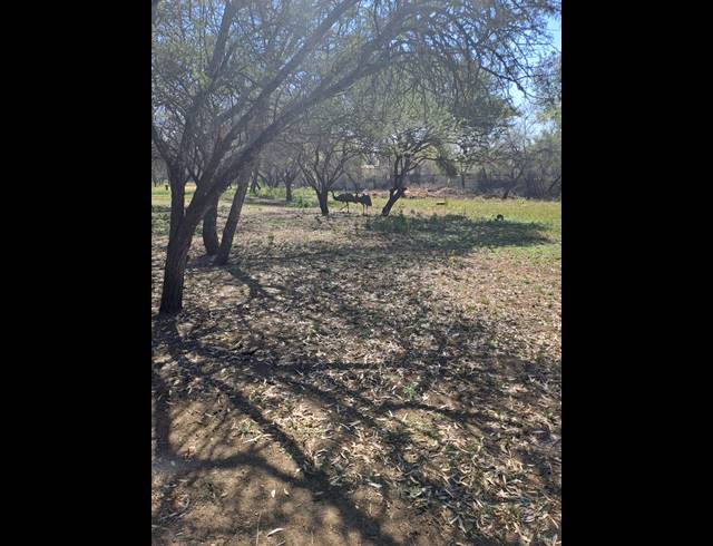 6HA SMALLHOLDING FOR SALE IN BOSCHFONTEIN AH